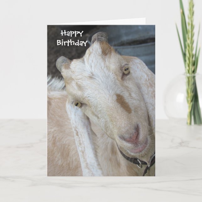 Old Goat Birthday Card - Easily Personalize Text (Front)