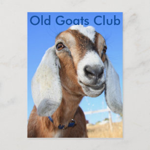 Old Goats Club Postcard