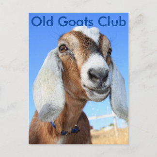 Old Goats Club Postcard