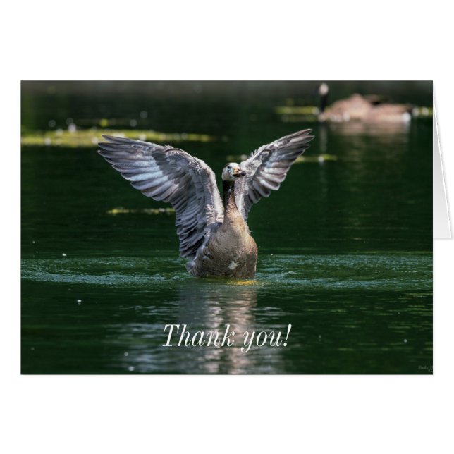 Old Goose Wing Action Thank You Card (Front Horizontal)