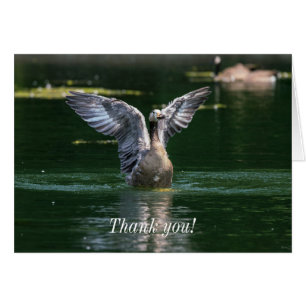 Old Goose Wing Carte de remerciements d'action