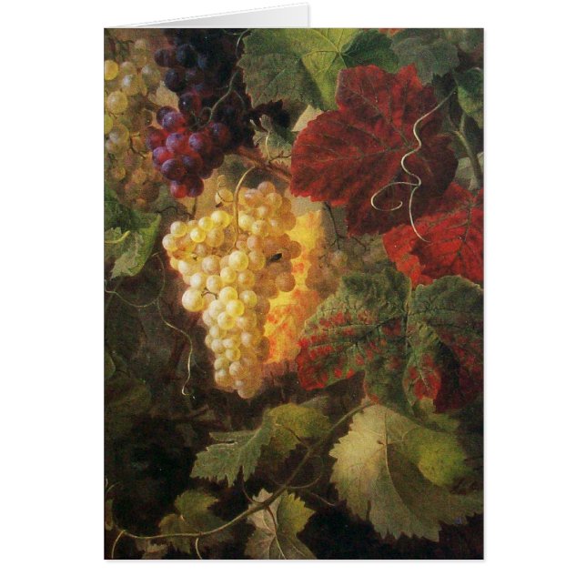 OLD GRAPE VINEYARD WINE TASTING PARTY (Front)