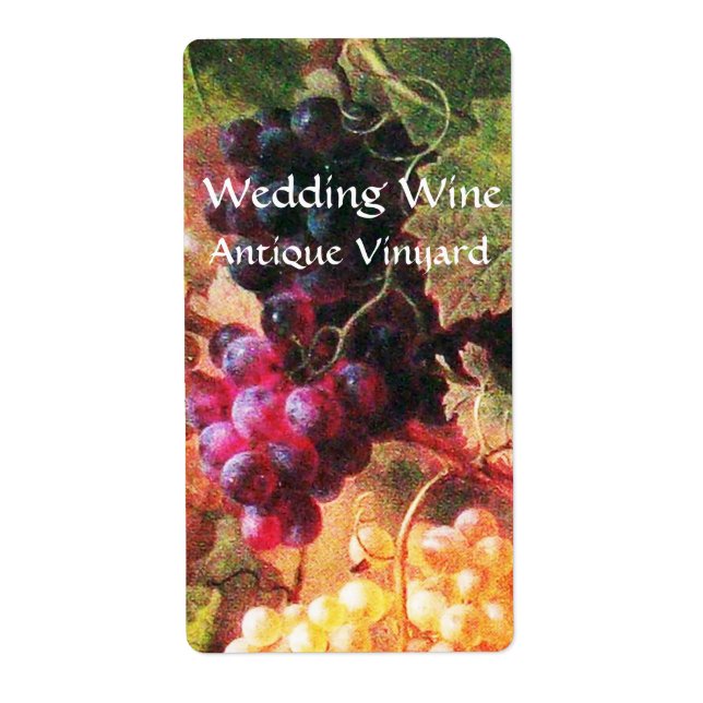 OLD GRAPE VINEYARD WINE TASTING PARTY (Front)