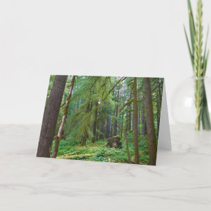 Old Growth Forest Card