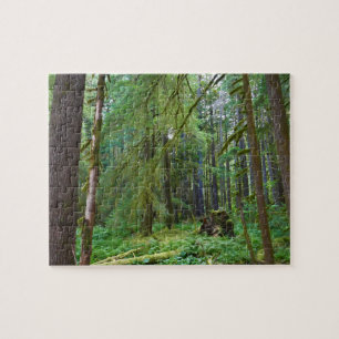 Old Growth Forest Jigsaw Puzzle
