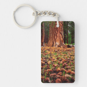 Old-growth Ponderosa tree with pine cones Keychain