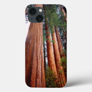 Old-growth Sequoia Redwood trees iPhone 13 Case