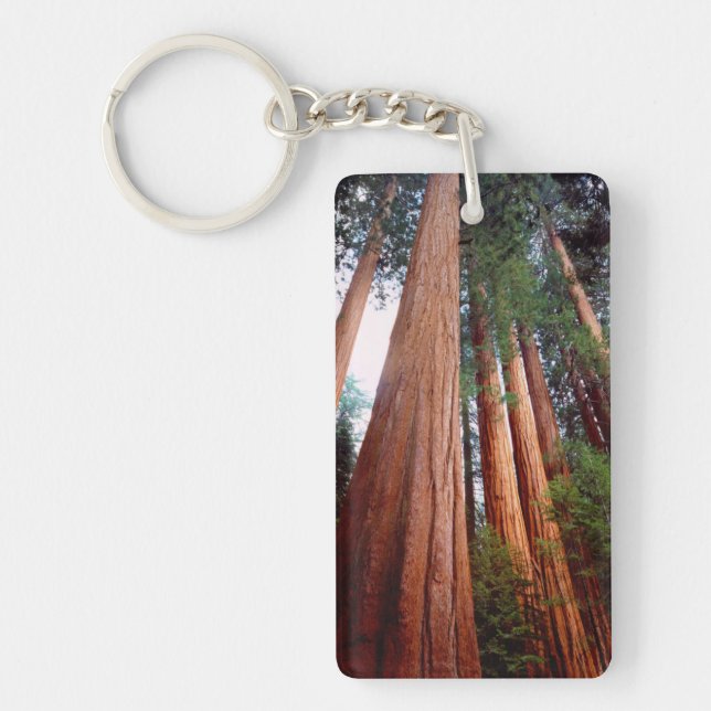 Old-growth Sequoia Redwood trees Keychain (Front)