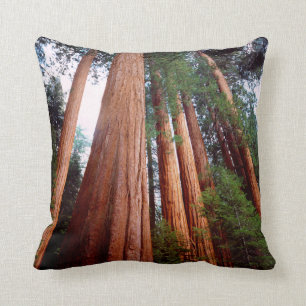 Old-growth Sequoia Redwood trees Throw Pillow