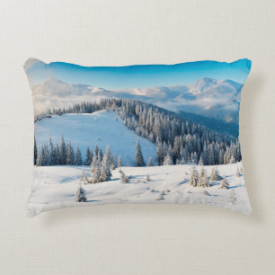 Old grunge wooden texture or background with termi accent pillow