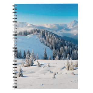 Old grunge wooden texture or background with termi notebook