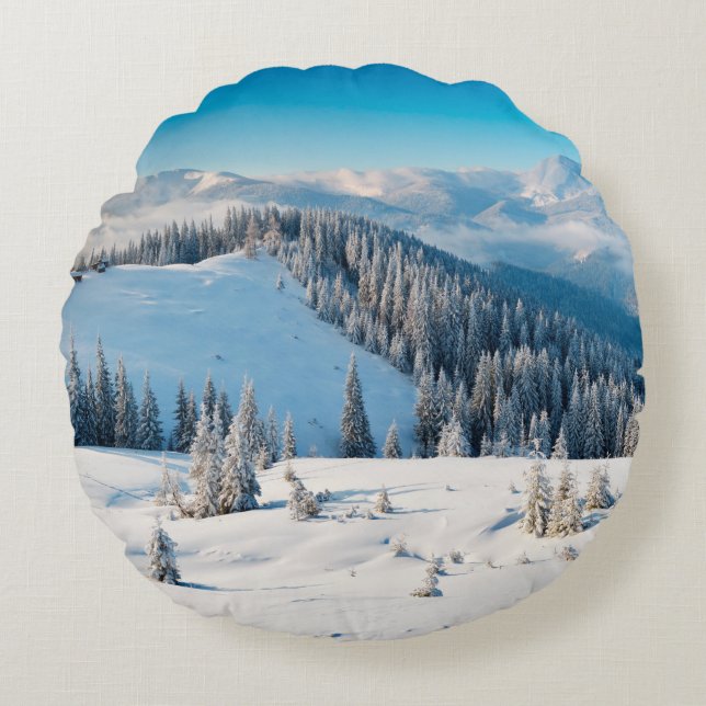 Old grunge wooden texture or background with termi round pillow (Front)