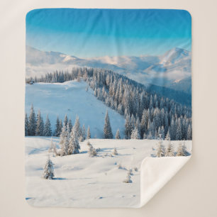 Old grunge wooden texture or background with termi sherpa blanket