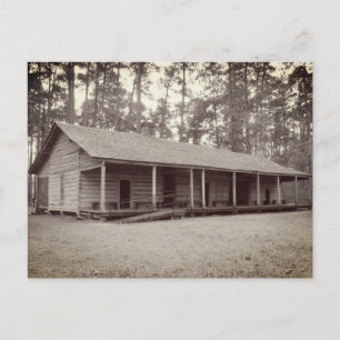 Old Homesteader's Cabin Postcard