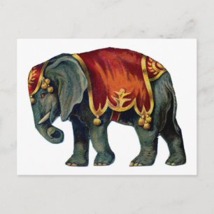 Old iIustração of circus elephant Postcard