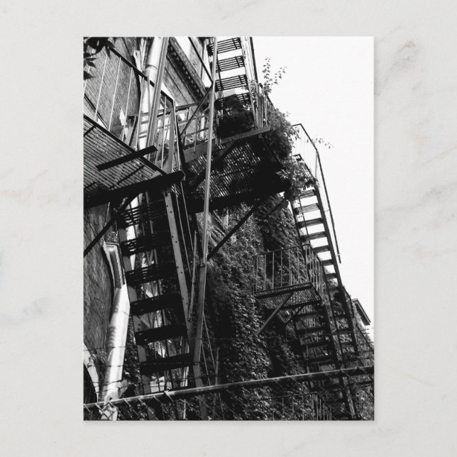 Old Iron Apartment Building Staircase Postcard (Front)