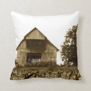 Old Kentucky Barn Throw Pillow