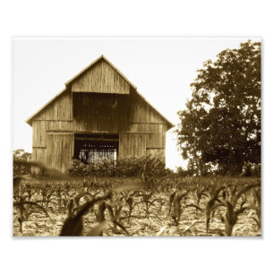 Old Kentucky Tobacco Barn Photo Print