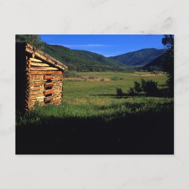 Old log homestead near Park City, Utah. (P.R.) Postcard (Front)