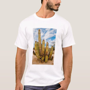 Old Man Cactus portrait, Mexico T-Shirt