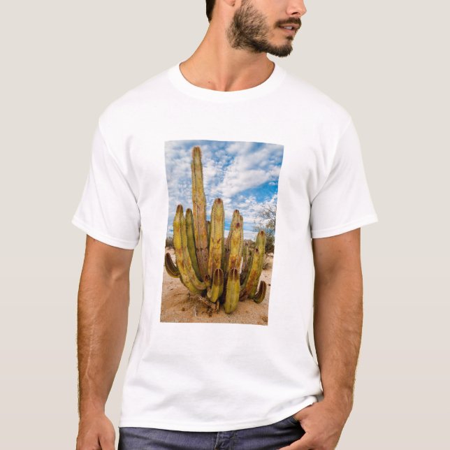Old Man Cactus portrait, Mexico T-Shirt (Front)