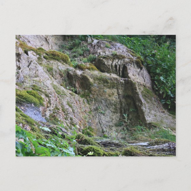 Old Man of the Mountain Postcard (Front)