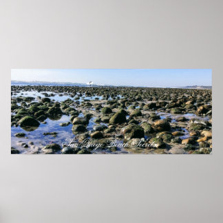 Old Man's Beach- San Onofre State Beach Poster