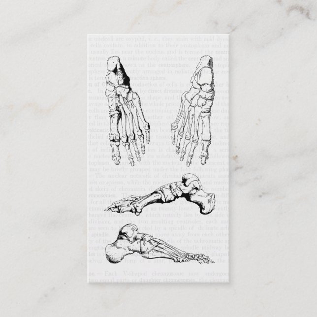 Old Medical Art Human Anatomy Bones of the Foot Business Card (Front)