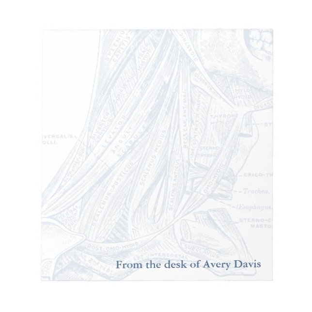 Old Medical Drawing Muscles of the Neck Blue Notepad (Front)