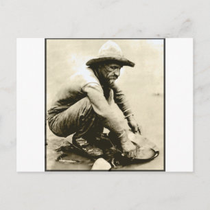 Old Miner Postcard