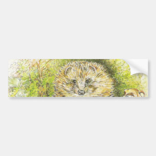 Old Mr Prickly Pin (Hedgehog) (by Beatrix Potter) Bumper Sticker