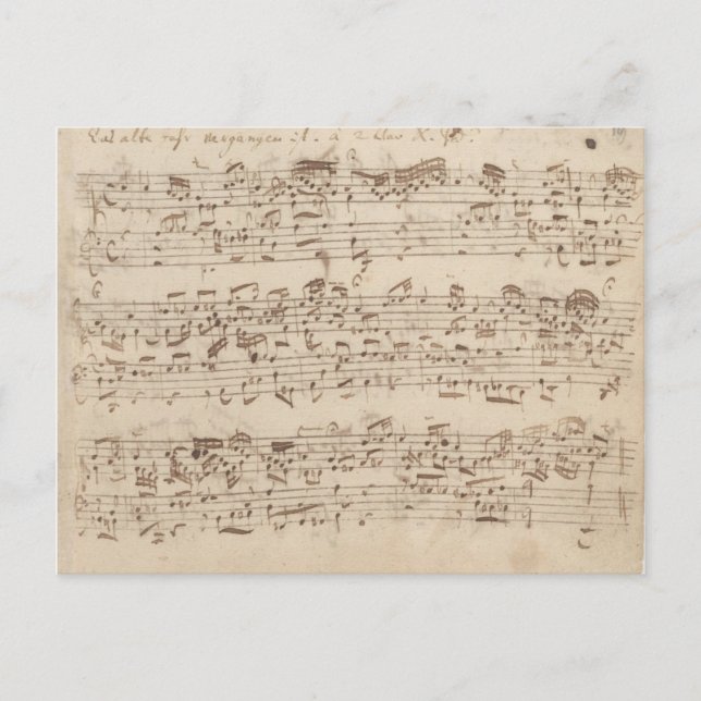 Old Music Notes - Bach Music Sheet Postcard (Front)