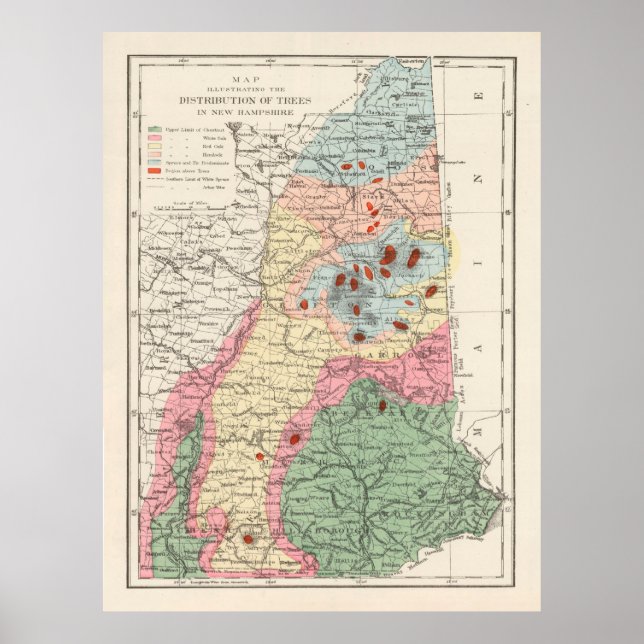 Old New Hampshire Tree Species Map (1877)  Poster (Front)