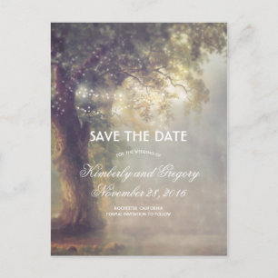 Old Oak Tree and String Lights Save the Date Announcement Postcard