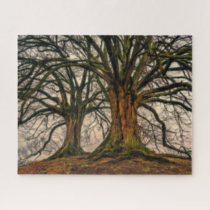 Old Oak Tree in Winter Jigsaw Puzzle