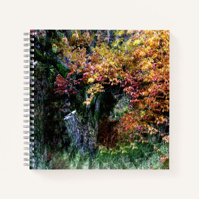 Old Oak Tree...... Notebook (Front)