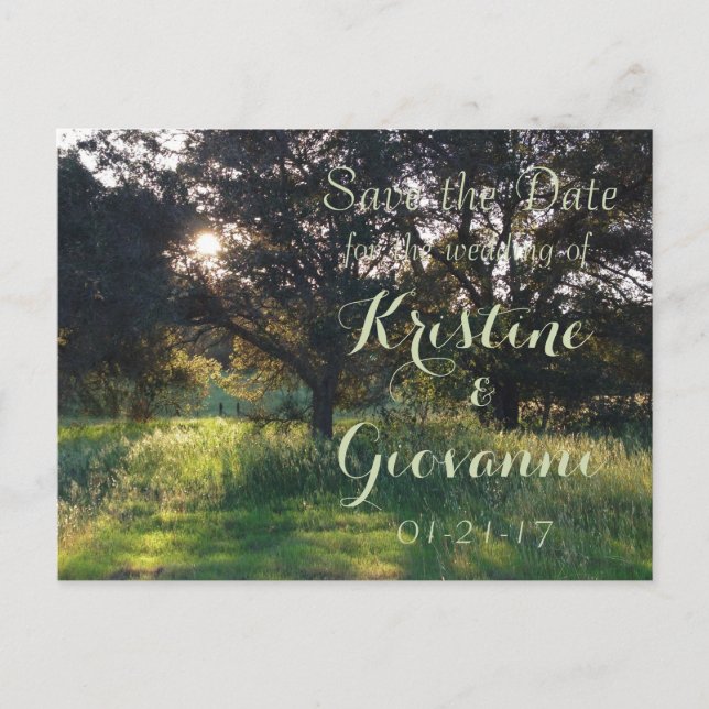 Old Oak Tree - Save the Date Announcement Postcard (Front)