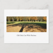 Old Oaks Cast Wide Shadows