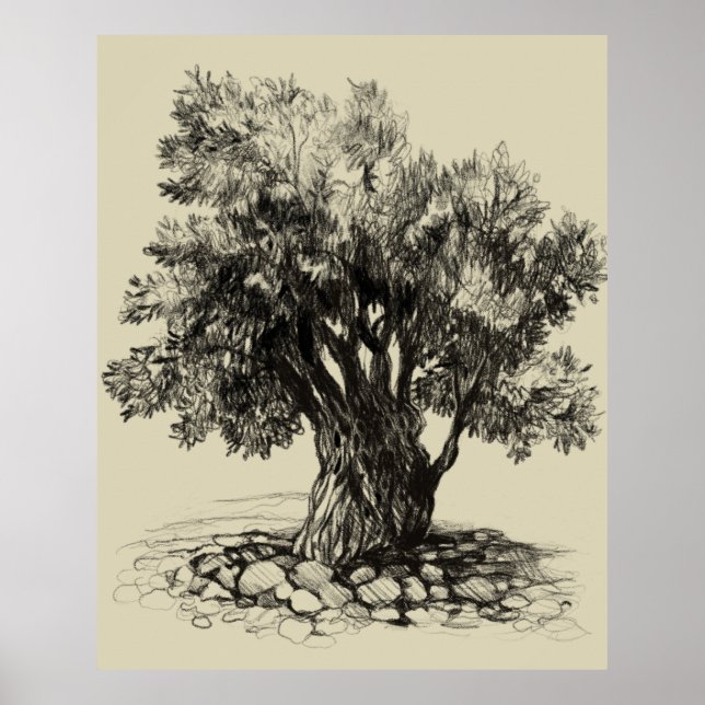 Old olive tree poster (Front)