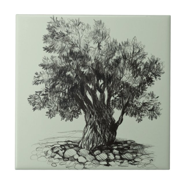 Old olive tree tile (Front)