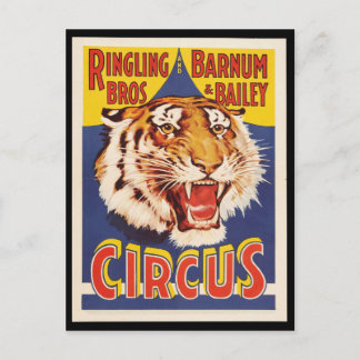 Old original vintage tiger circus poster 1900s postcard