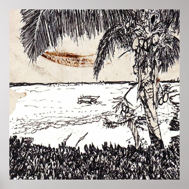 Old Paper Coconut Tree, Bahamas Poster (Front)
