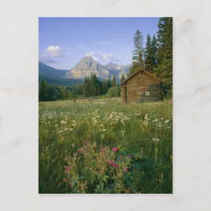 Old Park Service cabin in the Cut Bank Valley Postcard