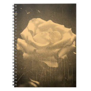Old Photo Beautiful Pink Rose Close-up Notebook