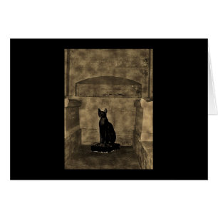 Old Photo Tomb Cat