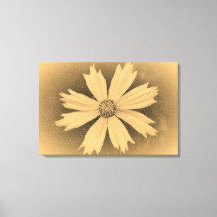 Old photo Yellow Cosmos Flower Close-up 3 Canvas Print