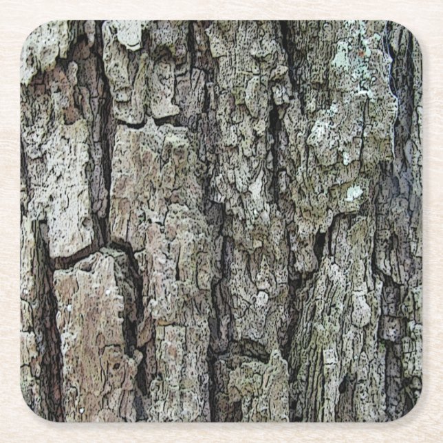 Old Pine Bark Square Paper Coaster (Front)