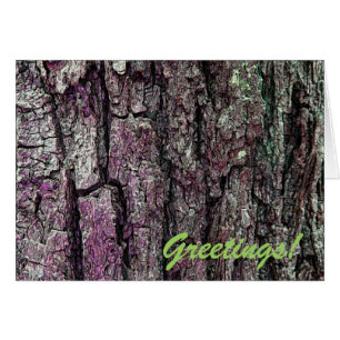 Old Pine Bark with Text