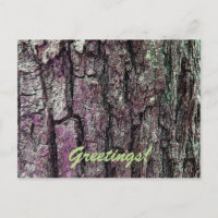 Old Pine Bark with Text Greetings