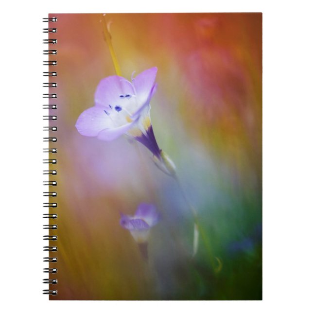 Old Point Loma Lighthouse | Cabrillo Monument Notebook (Front)